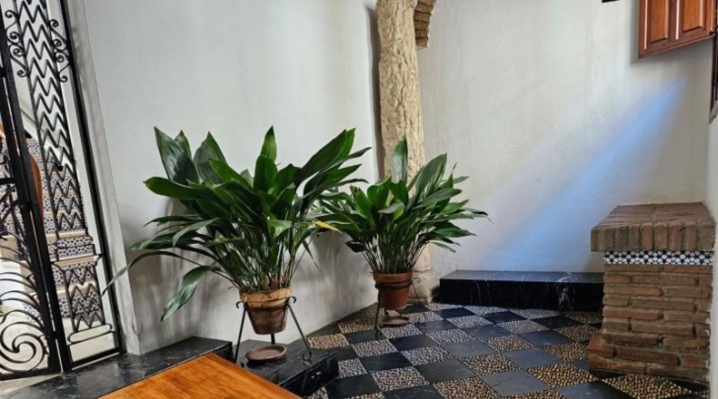 Córdoba - Córdoba - 512m2