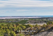 Xalet independent amb terreny en venda a la España, Sant Miquel de les Salines, ref.: TR181404 foto