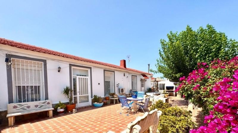 Alicante - Dolores - 1524m2