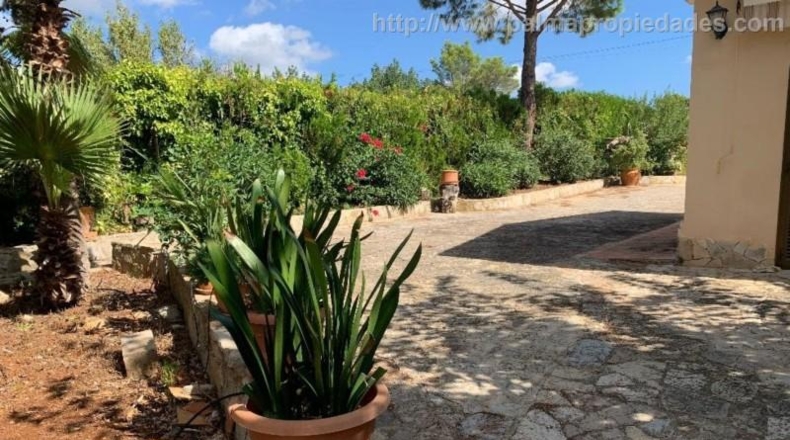 Islas Baleares - Inca - 18430m2