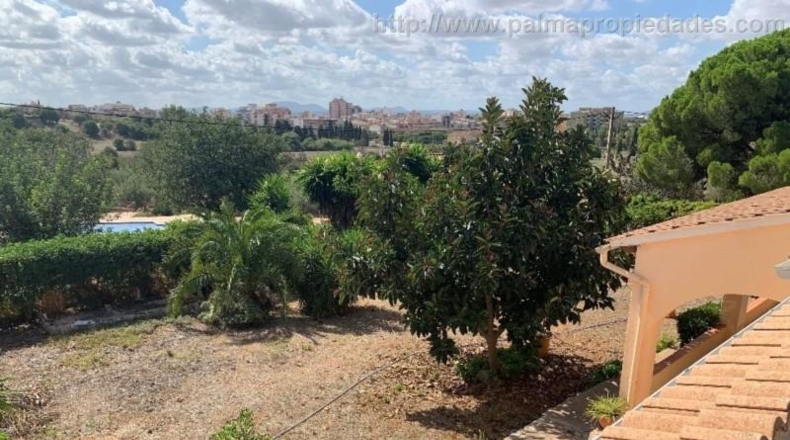 Islas Baleares - Inca - 18430m2