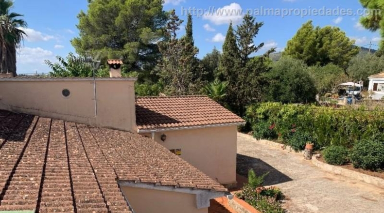 Islas Baleares - Inca - 18430m2