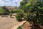 Casa amb terreny en venda a la España, Inca, ref.: TR339378 foto