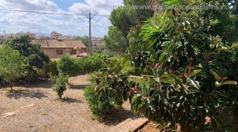 Islas Baleares - Inca - 18430m2
