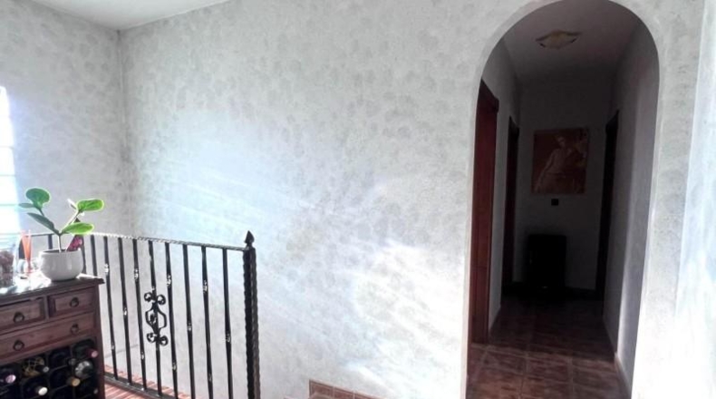 Alicante - Orihuela - 1200m2