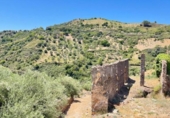 Chalet independiente con terreno en venta en la España, Atajate, ref: TR176280 foto
