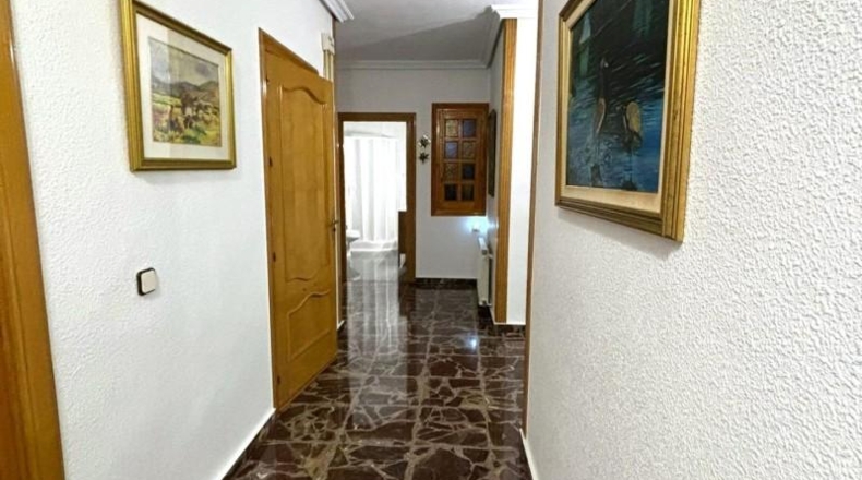 Murcia - Molina de Segura - 713m2