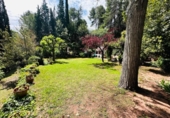 Finca rústica en venda a la España, Castellví de Rosanes, ref.: TR300885 foto