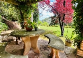 Finca rústica en venda a la España, Castellví de Rosanes, ref.: TR300885 foto