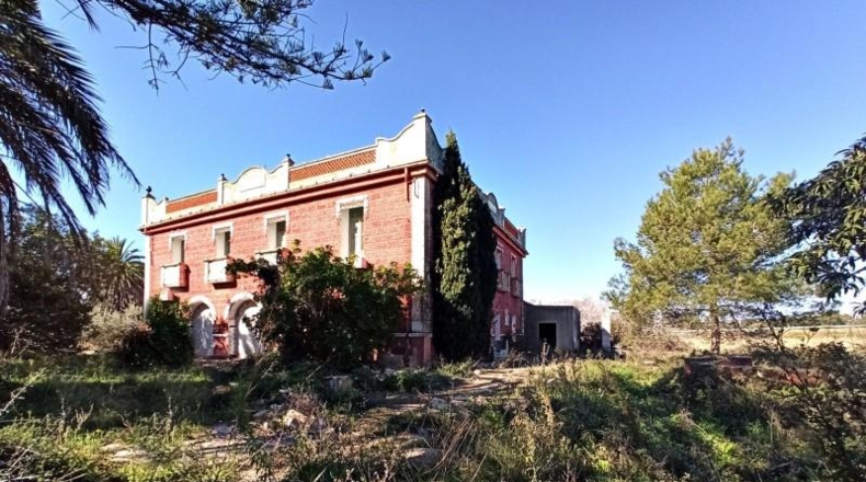 Alicante - Pedreguer - 65000m2