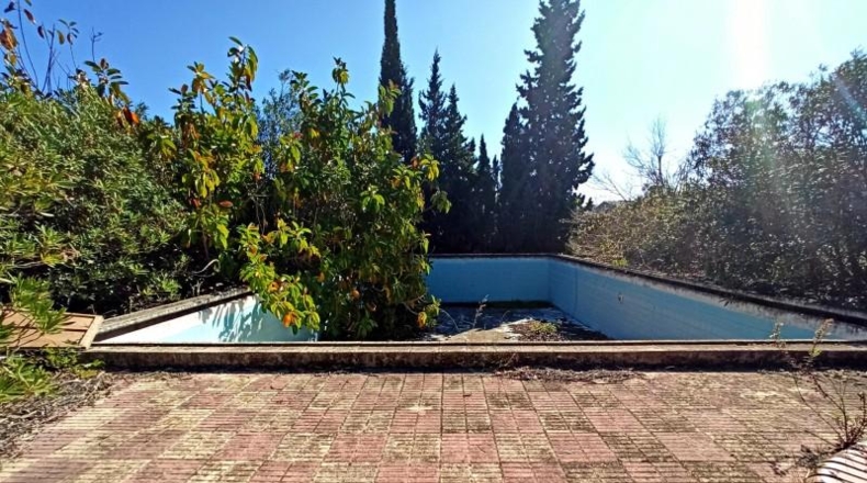 Alicante - Pedreguer - 65000m2
