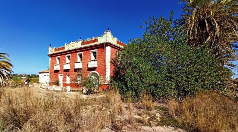 Alicante - Pedreguer - 65000m2