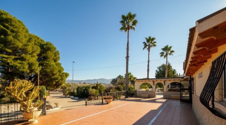 Alicante - Sax - 6100m2