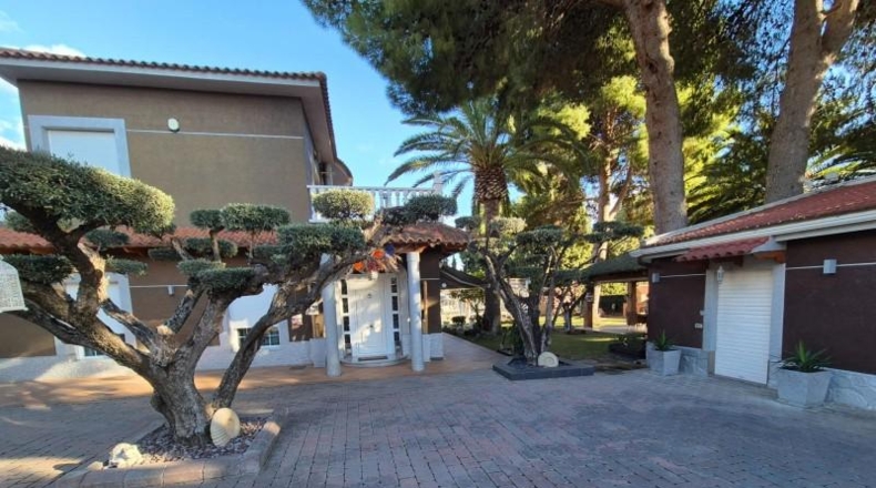 Alicante - Elda - 3000m2