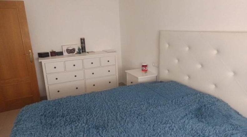 Murcia - Murcia - 1900m2