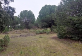 San Martín de Valdeiglesias 37628&nbsp;m² 