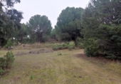 Terreny no urbanitzable en venda a la España, San Martín de Valdeiglesias, ref.: TR218775 foto