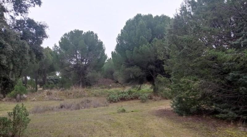 Comunidad de Madrid - San Martín de Valdeiglesias - 37628m2
