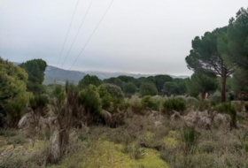 San Martín de Valdeiglesias 37628&nbsp;m² 