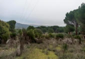 Terreny no urbanitzable en venda a la España, San Martín de Valdeiglesias, ref.: TR218775 foto
