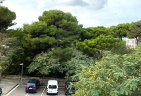 Foto 7