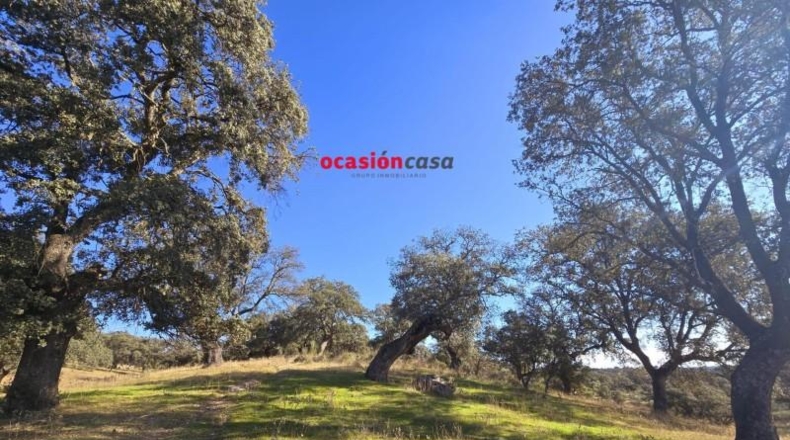 Córdoba - Torrecampo - 800000m2