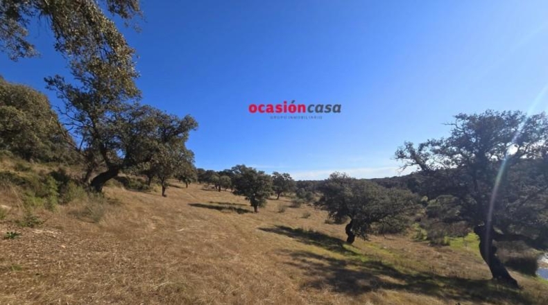 Córdoba - Torrecampo - 800000m2