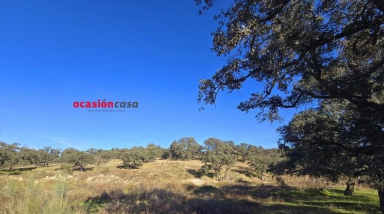 Córdoba - Torrecampo - 800000m2