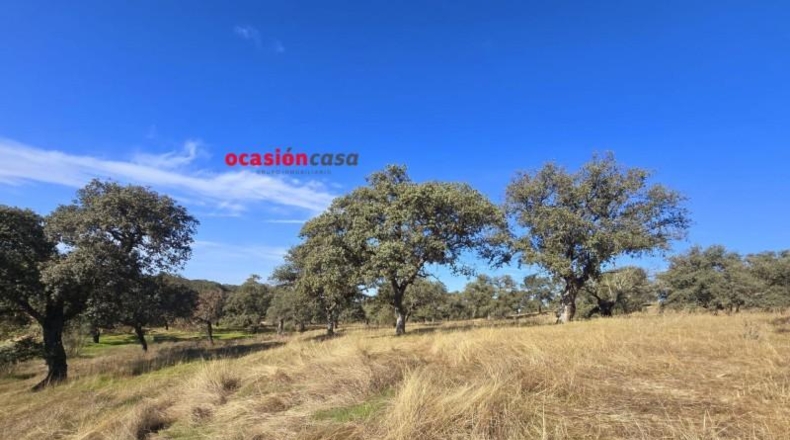 Córdoba - Torrecampo - 800000m2