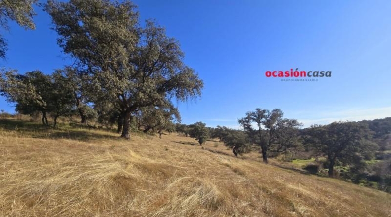 Córdoba - Torrecampo - 800000m2