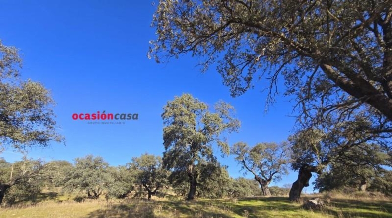Córdoba - Torrecampo - 800000m2