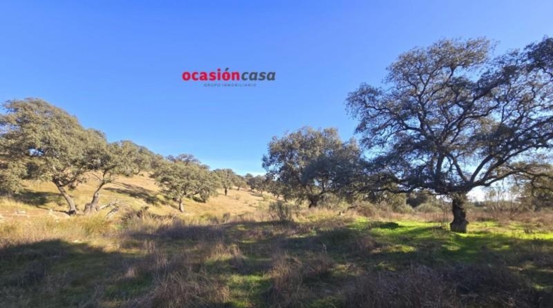 Córdoba - Torrecampo - 800000m2