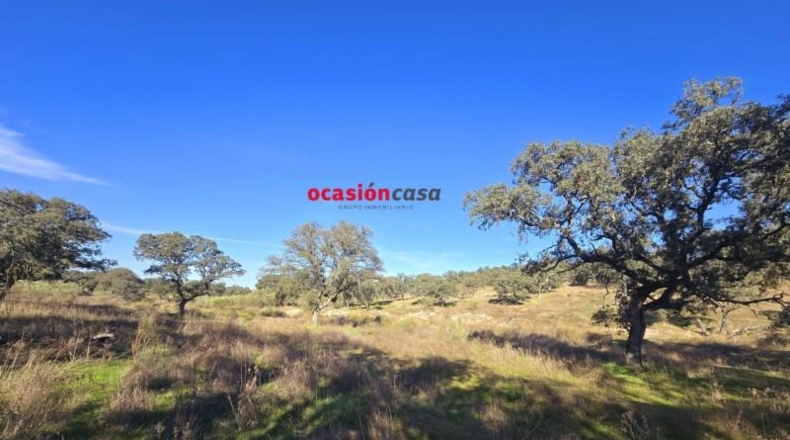 Córdoba - Torrecampo - 800000m2