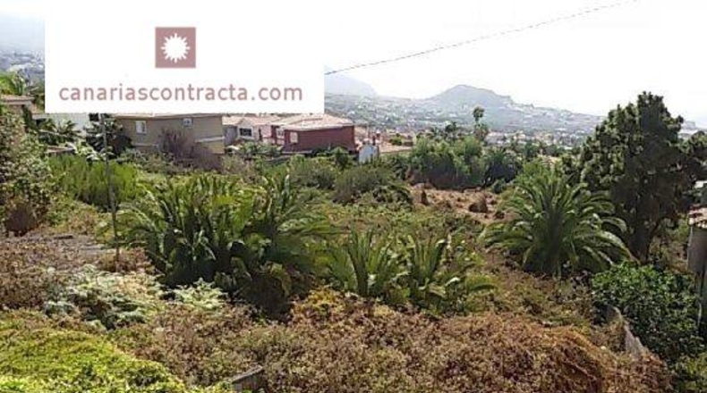Santa Cruz de Tenerife - La Orotava - 10828m2