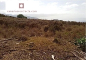 Sòl urbà en venda a la España, La Orotava, ref.: TR241499 foto