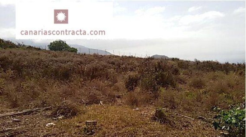 Santa Cruz de Tenerife - La Orotava - 10828m2