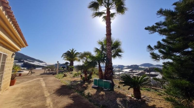 Alicante - Callosa de Ensarriá - 18000m2