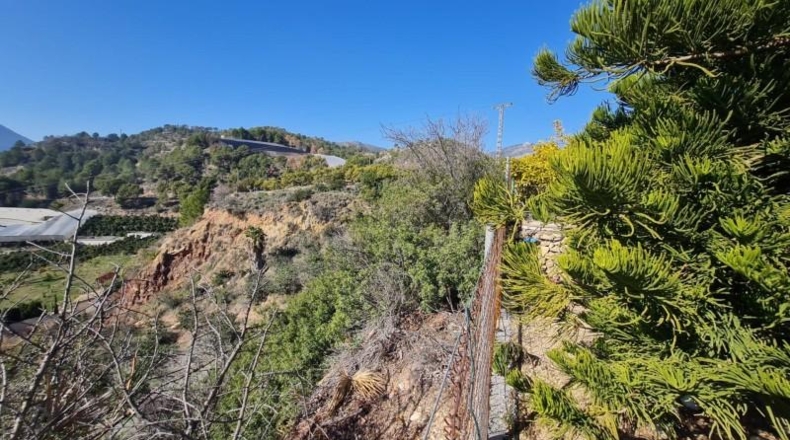 Alicante - Callosa de Ensarriá - 18000m2