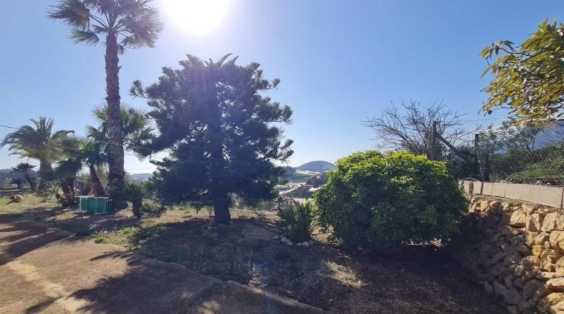 Alicante - Callosa de Ensarriá - 18000m2