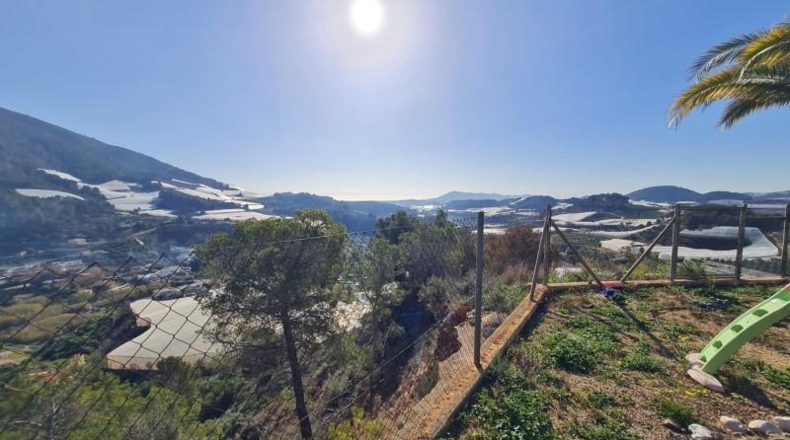 Alicante - Callosa de Ensarriá - 18000m2