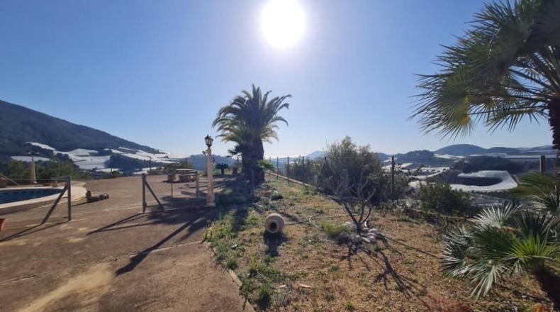 Alicante - Callosa de Ensarriá - 18000m2