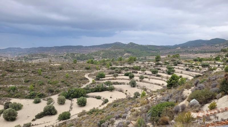 Alicante - Relleu - 75000m2