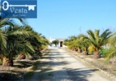 Xalet independent amb terreny en venda a la España, Jerez de la Frontera, ref.: TR137936 foto