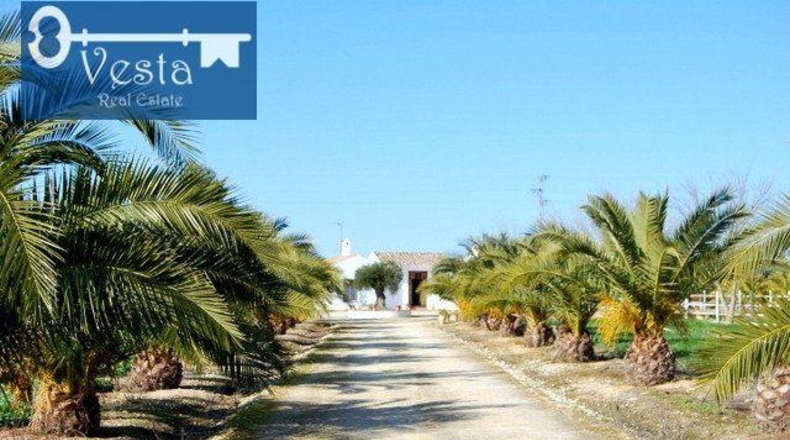 Cádiz - Jerez de la Frontera - 50300m2