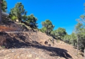 Non-developable land for sale on España, Calpe, ref: TR117860 photo