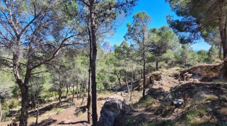 Alicante - Calpe - 2500m2