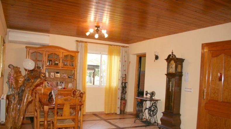 Alicante - Pedreguer - 15000m2