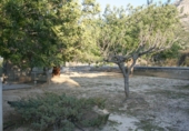 Chalet independiente con terreno en venta en la España, Pedreguer, ref: TR139263 foto