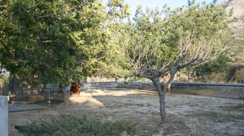 Alicante - Pedreguer - 15000m2