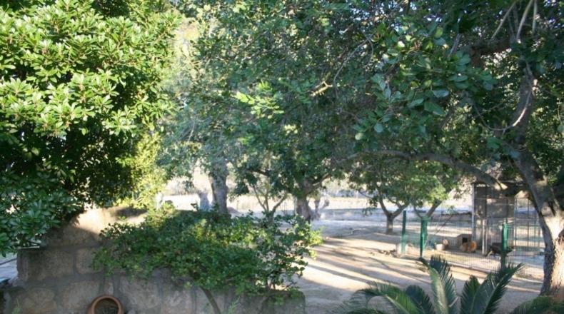 Alicante - Pedreguer - 15000m2